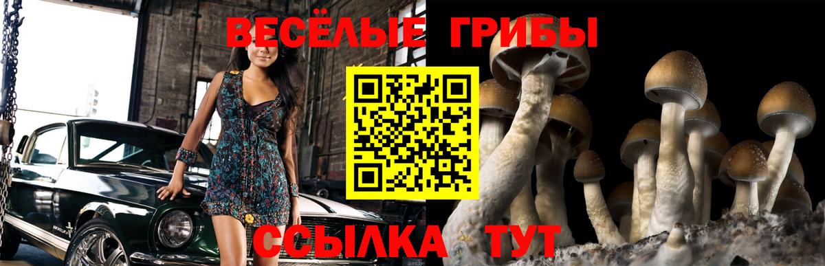 Лобня  Псилоцибиновые грибы Psilocybine cubensis  Вход с VPN  Галлюциногенные грибы Psilocybe 
