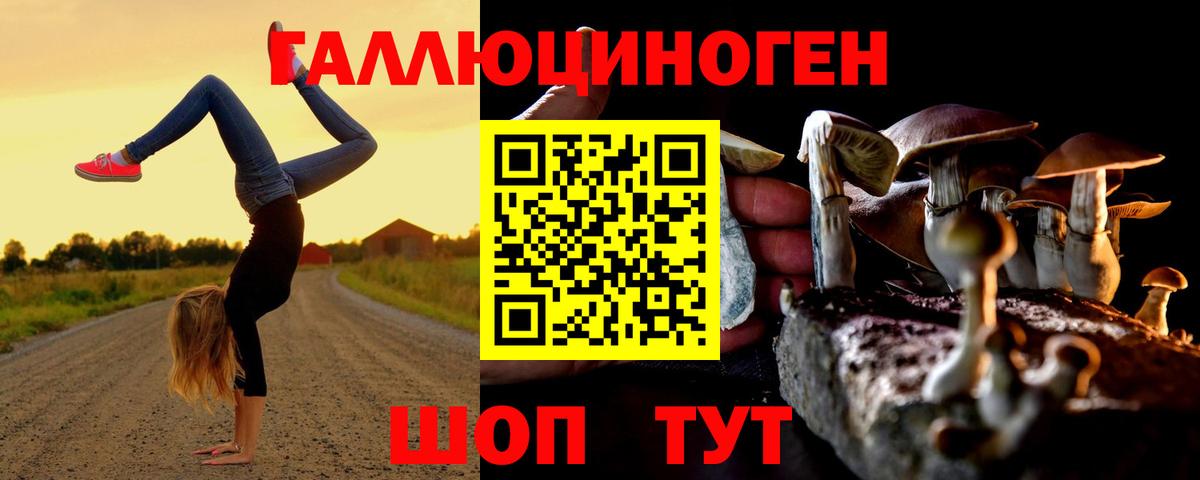 Псилоцибиновые грибы Cubensis Лобня